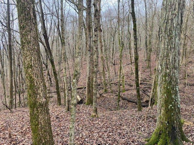 Land for sale in Tennessee