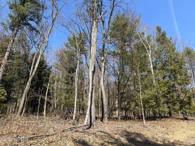 Land for sale in Montoursville