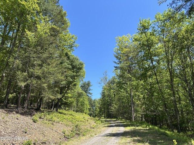 Land for sale in Lycoming, Pennsylvania