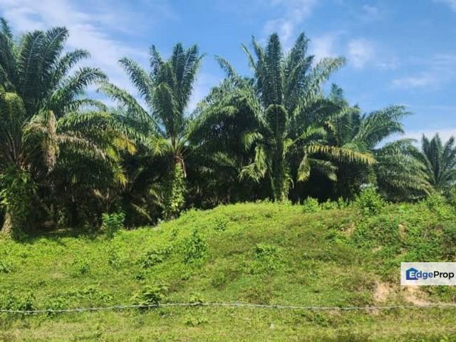 House for sale in Perak, Tanjong Ipoh