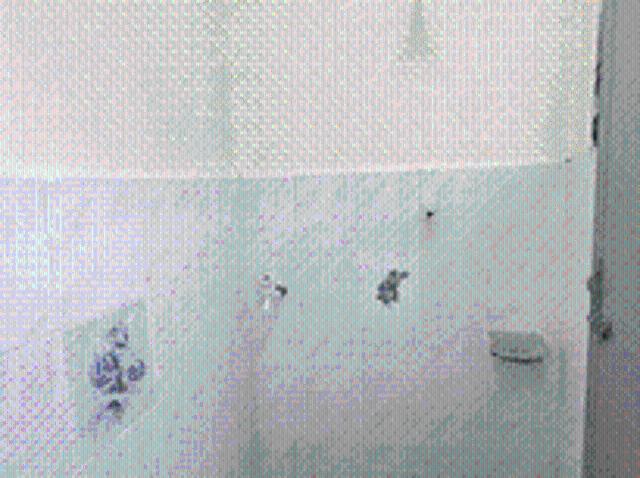 House for rent in Perak, Tanjong Ipoh