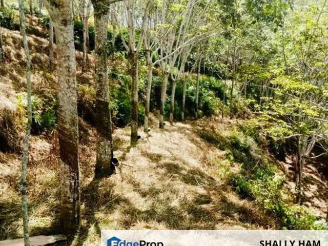 House for sale in Songsang, Temerloh