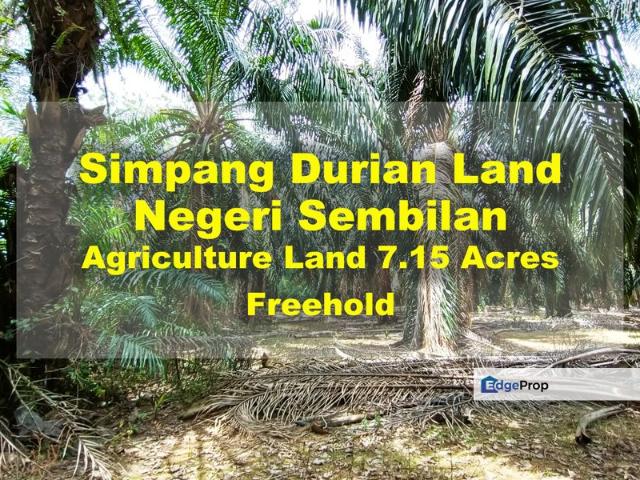 Shop for sale in Simpang Durian, Negeri Sembilan
