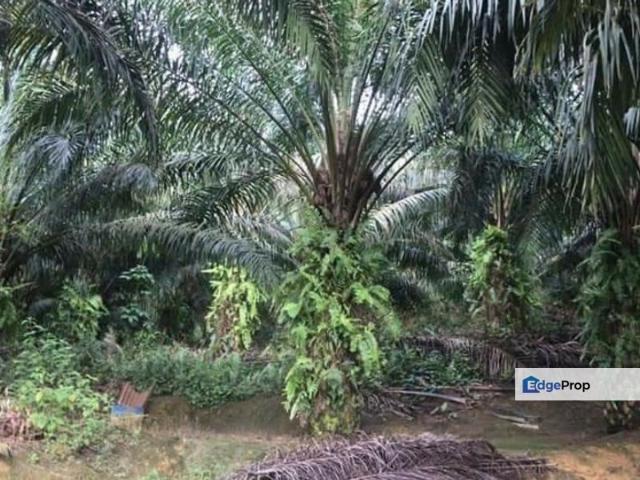 Warehouse for sale in Kajang, Langat