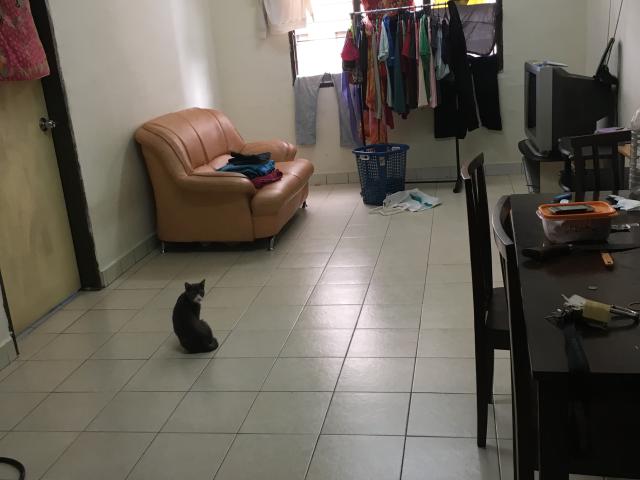 Apartment for rent in Country Heights Damansara, Kuala Lumpur