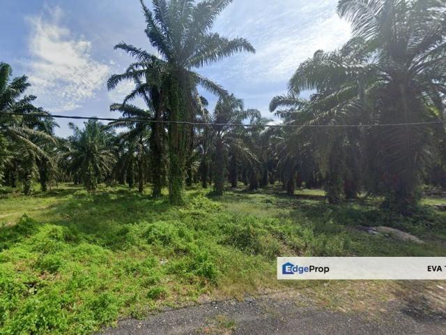 Warehouse for sale in Pekan Nanas, Johor