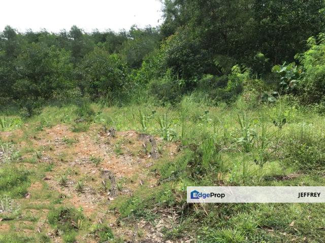 House for sale in Petaling, Subang Jaya