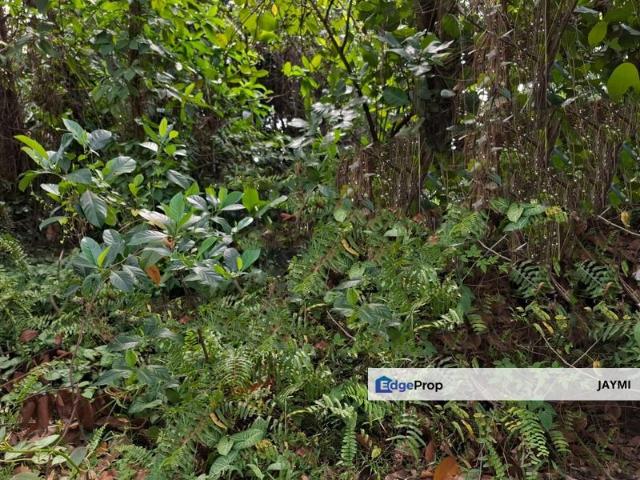 House for sale in Petaling, Subang Jaya
