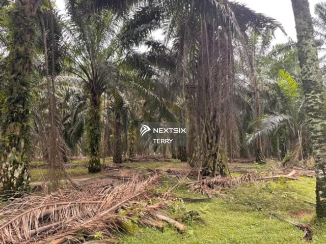 Residential House for sale in Johor Bahru, Johor