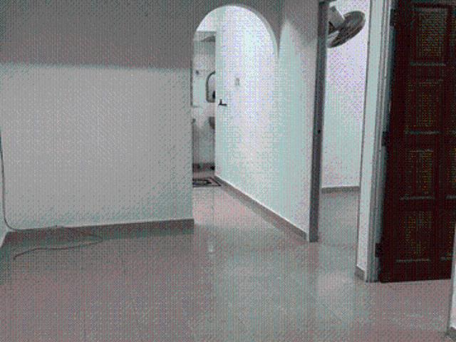 Apartment for rent in Wellesley, Penang