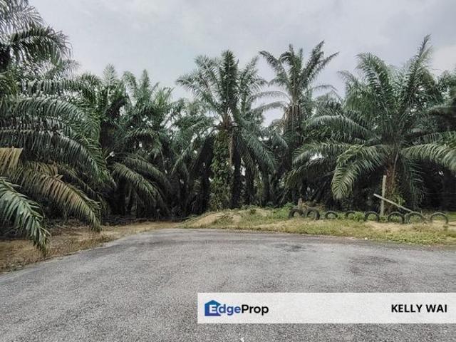 Shop for sale in Kulai, Johor
