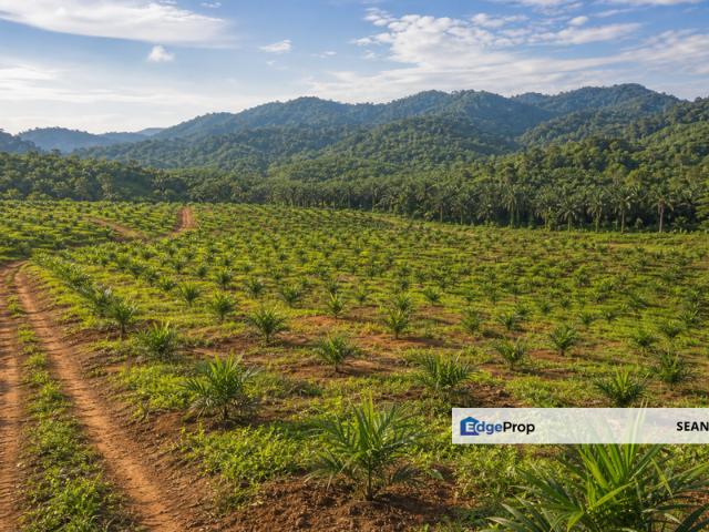 Warehouse for sale in Kulai, Johor