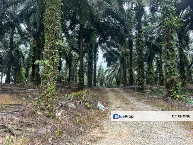 Warehouse for sale in Kulai, Johor