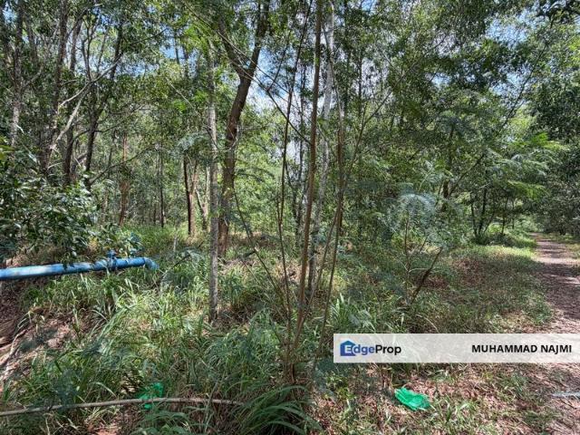 Warehouse for sale in Tringganu