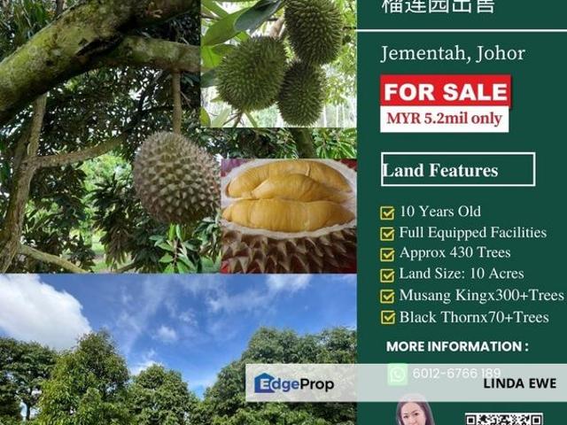 House for sale in Jementah, Johor