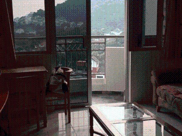 Apartment for rent in Mukim 13, Georgetown