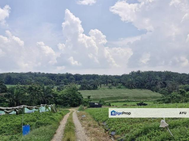 Shop for sale in Johore Bahru, Johor