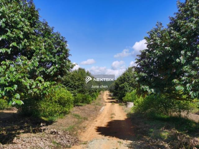 Residential House for sale in Johore Bahru, Johor