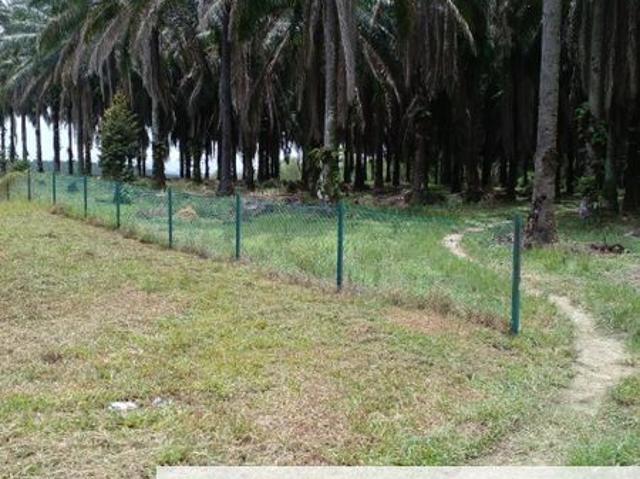 House for sale in Perak, Tanjong Ipoh
