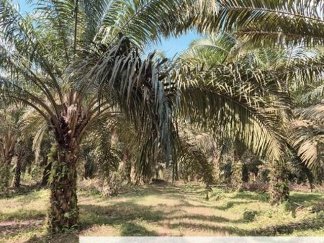 House for sale in Kluang, Johor