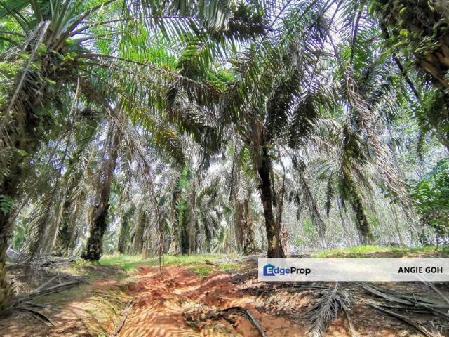 House for sale in Kluang, Johor