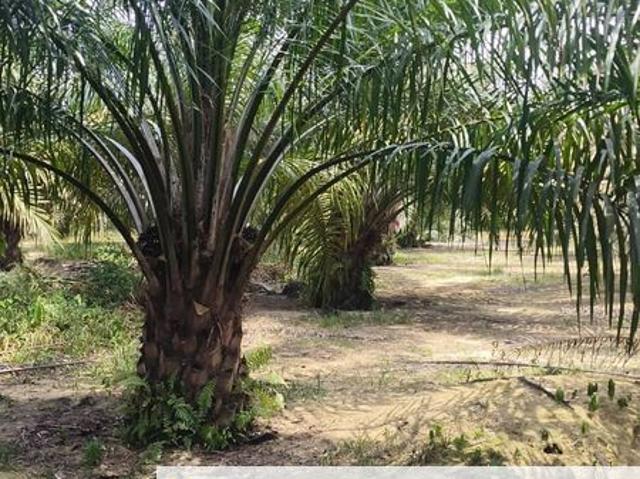 Shop for sale in Kluang, Johor