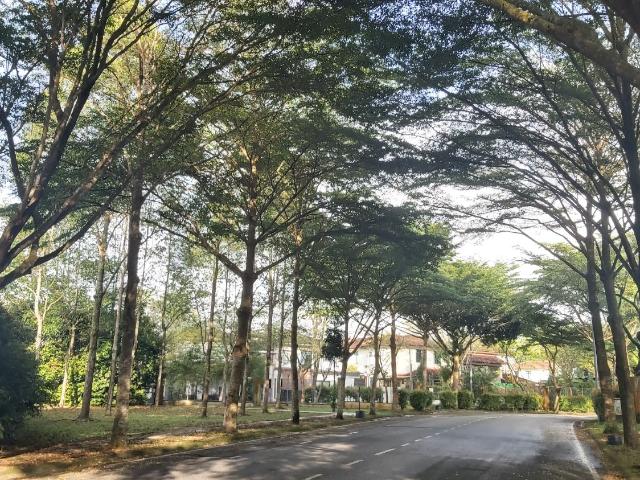 House for sale in Johore Bahru, Johor