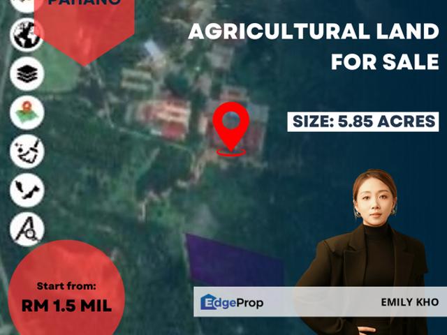 House for sale in Jerantut, Pahang