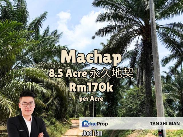 House for sale in Machap, Johor