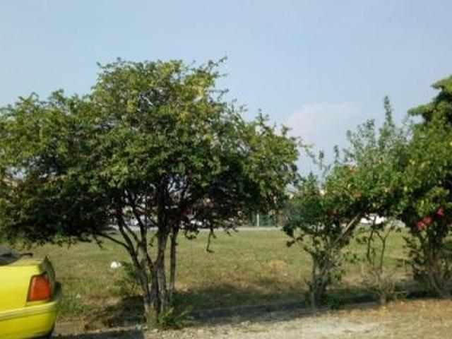 House for rent in Port Klang, Selangor