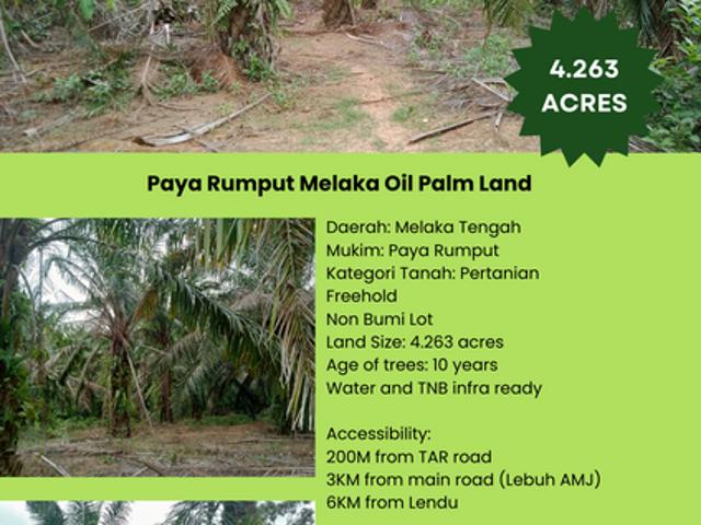 Shop for sale in Paya Rumput, Malaka