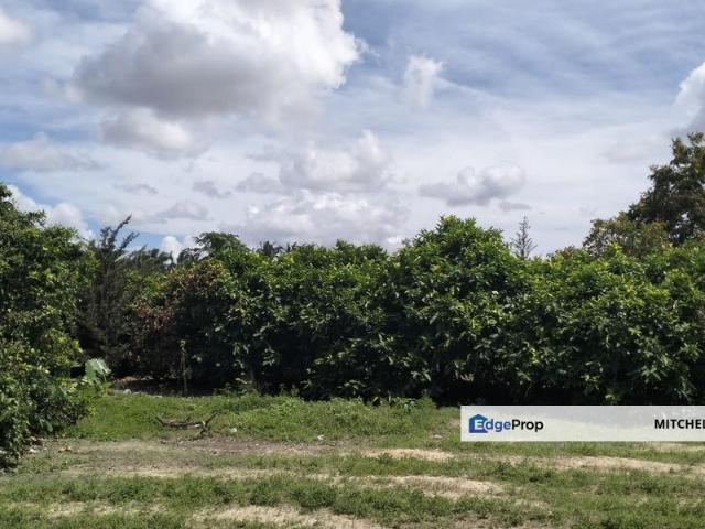 House for sale in Pekan Nanas, Johor