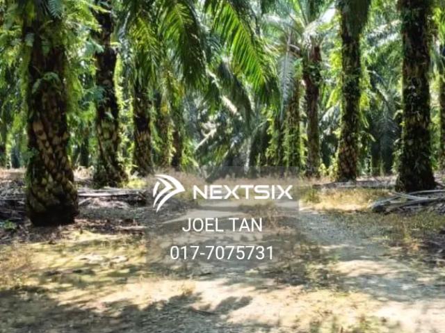Residential House for sale in Johore Bahru, Johor