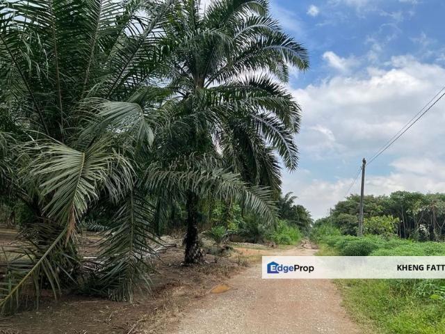 Warehouse for sale in Port Klang, Selangor
