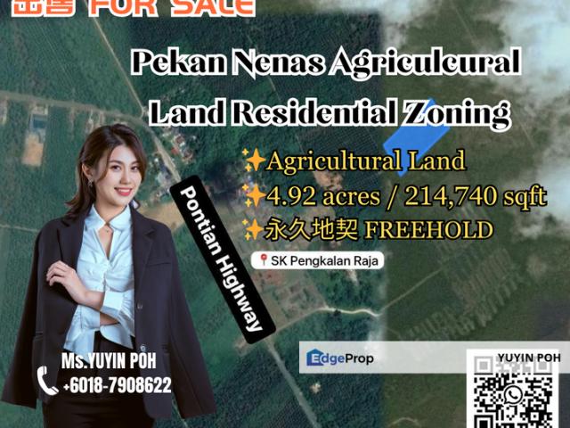 Shop for sale in Pekan Nanas, Johor