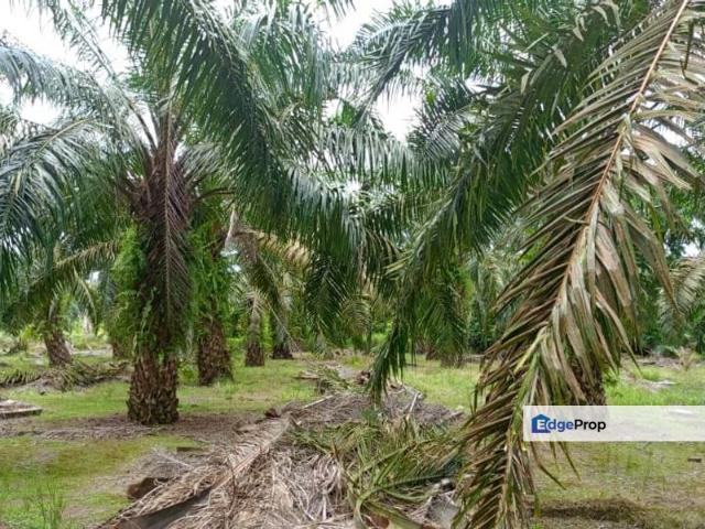 Warehouse for sale in Pontian, Johor
