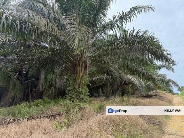 Warehouse for sale in Kulai, Johor