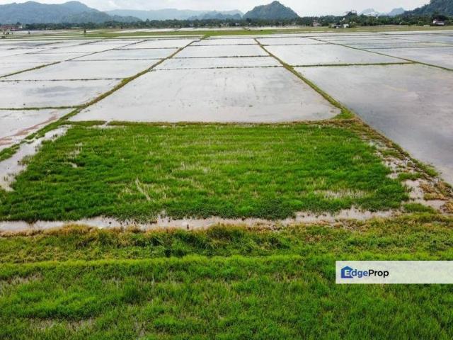 Shop for sale in Perlis