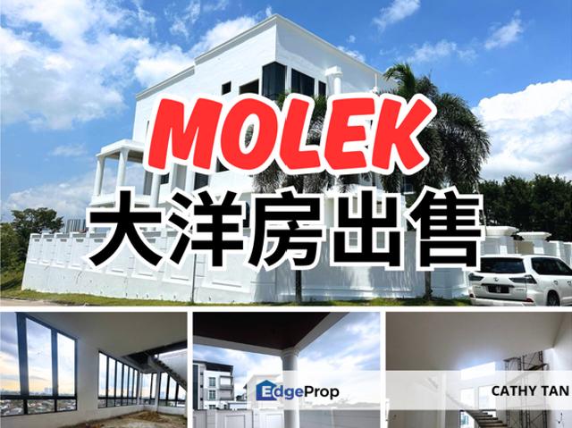 House for sale in Johore Bahru, Johor