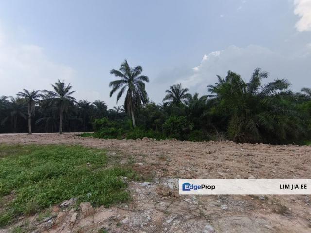 House for rent in Taman Pontian Perdana, Pontian