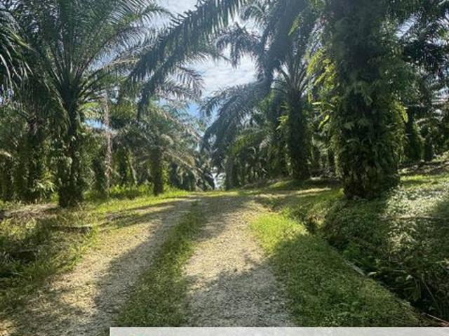 Warehouse for sale in Kulai, Johor