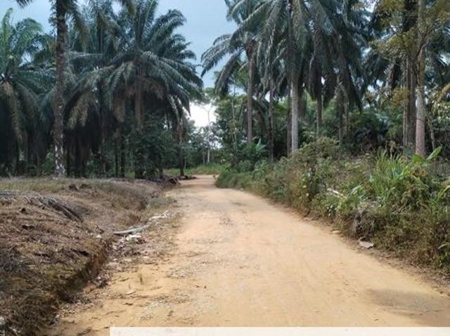 House for sale in Kelapa, Johor
