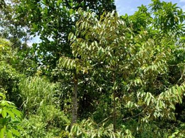 House for sale in Sendayan Village, Negeri Sembilan