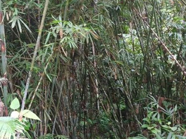 House for sale in Sendayan Village, Negeri Sembilan