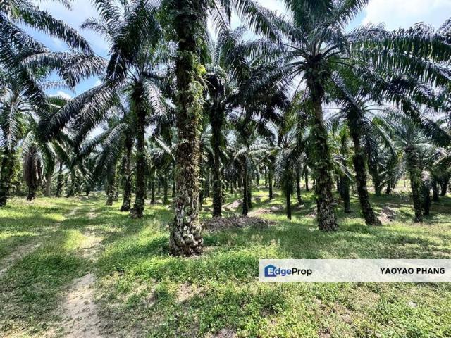 Shop for sale in Bukit Ledang, Johor