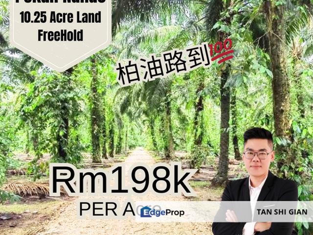 House for sale in Pekan Nanas, Johor