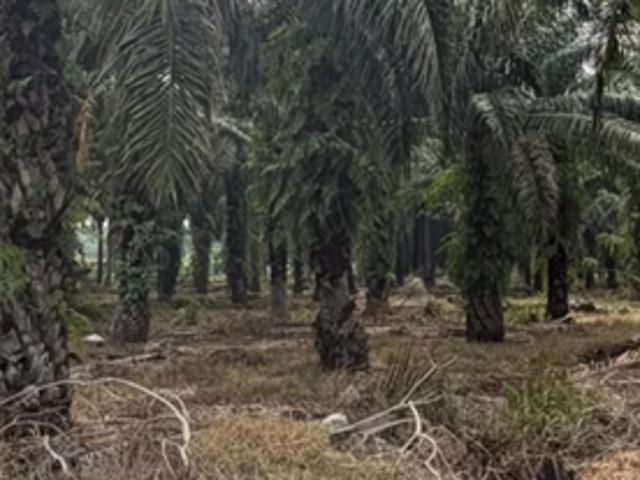 Shop for sale in Seri Manjung, Manjung