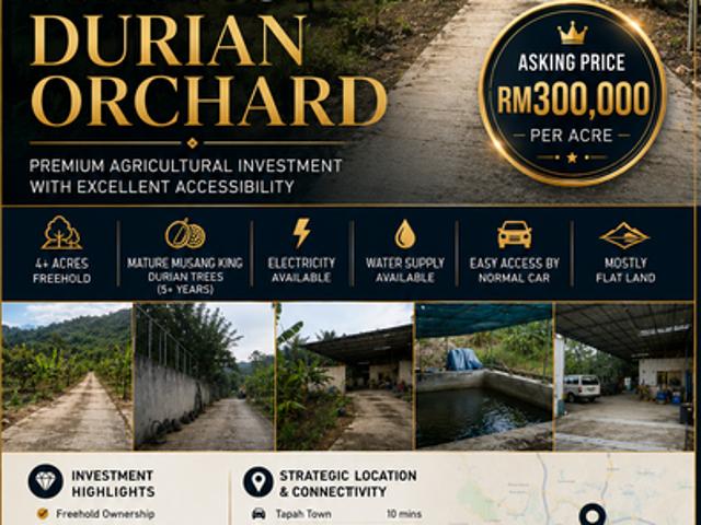 Shop for sale in Perak, Tapah
