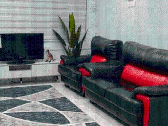 House for rent in Malaka