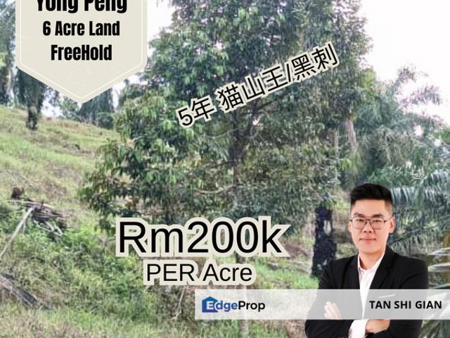 House for sale in Johor